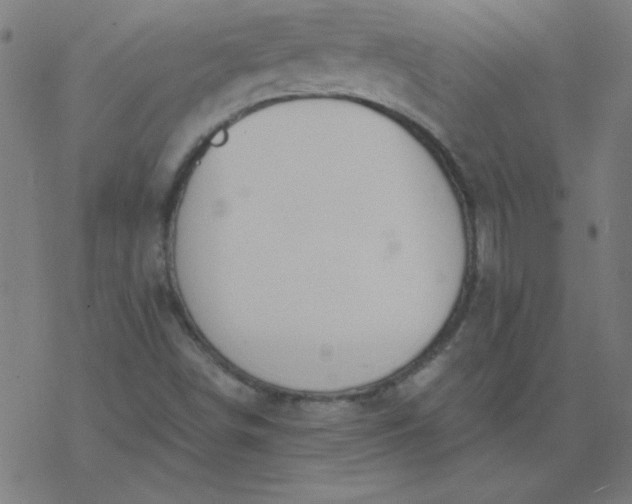 X0000077371498200611031858