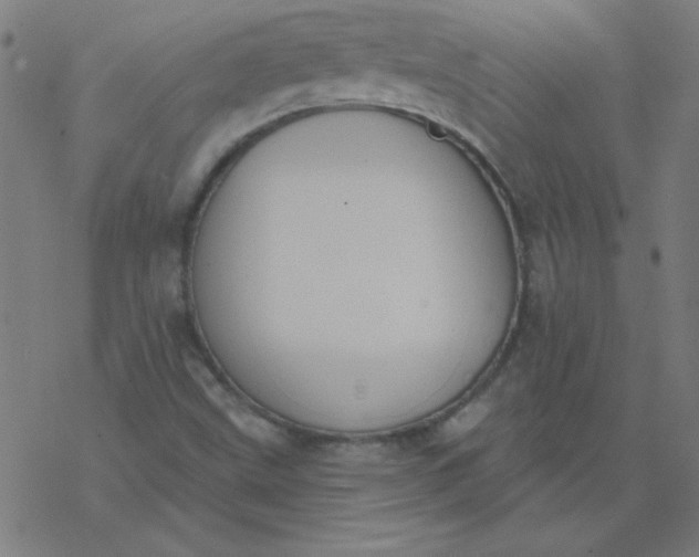 X0000077371499200611031858