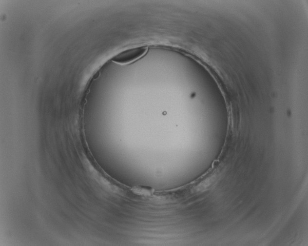 X0000077371500200611031858