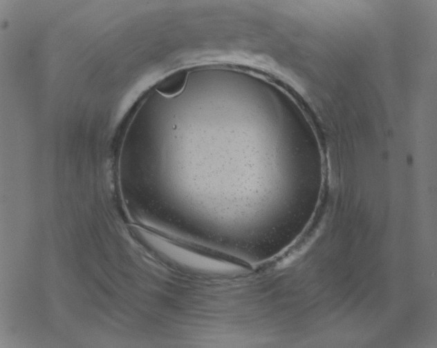 X0000077371501200611031858