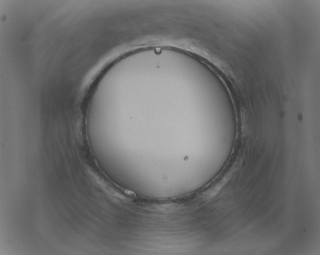 X0000077371502200611031858