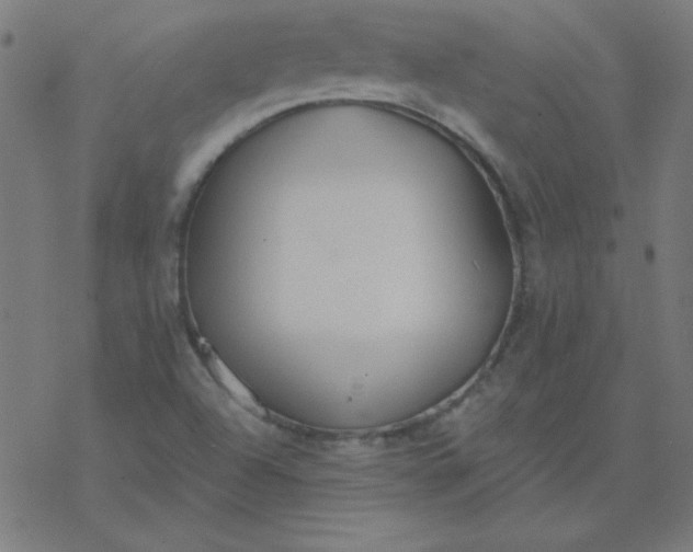 X0000077371504200611031858