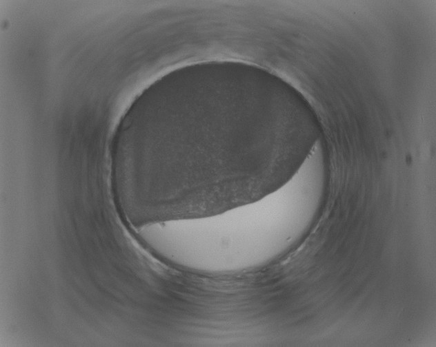 X0000077371508200611031858