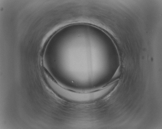 X0000077371510200611031858