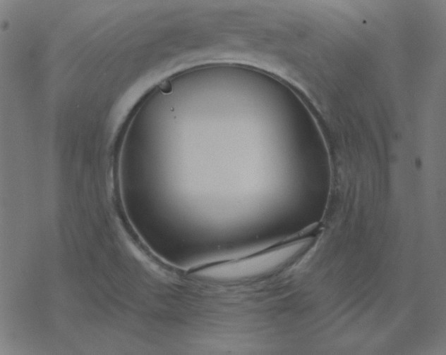 X0000077371511200611031858