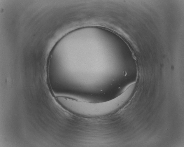 X0000077371512200611031858