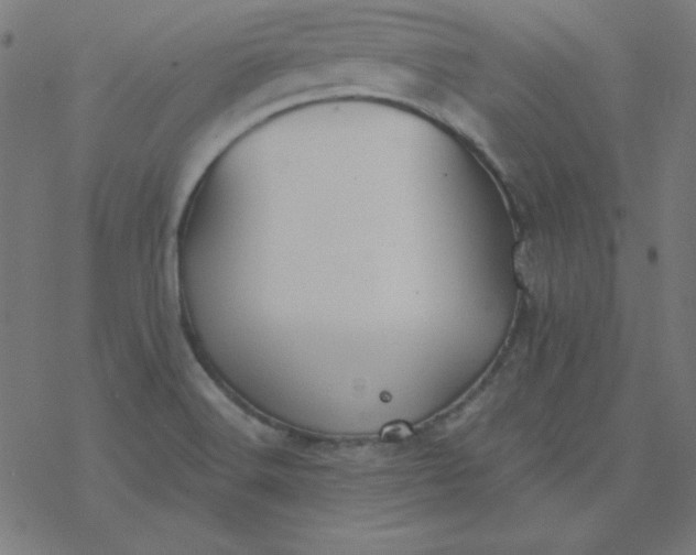 X0000077371516200611031858