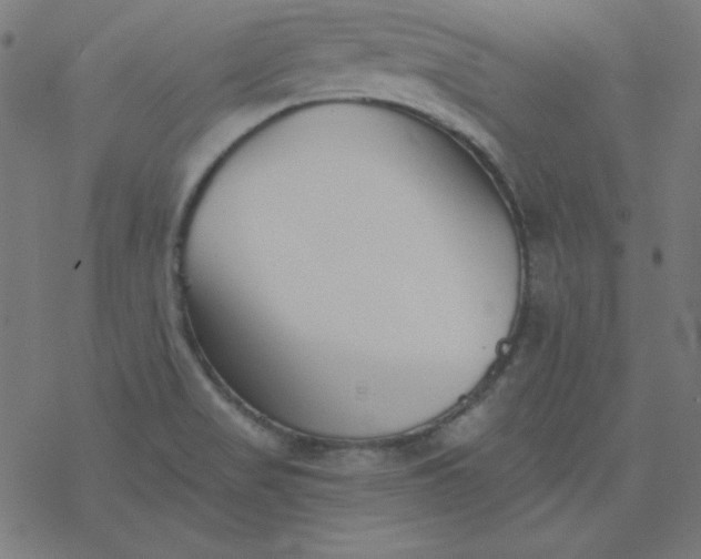 X0000077371517200611031858