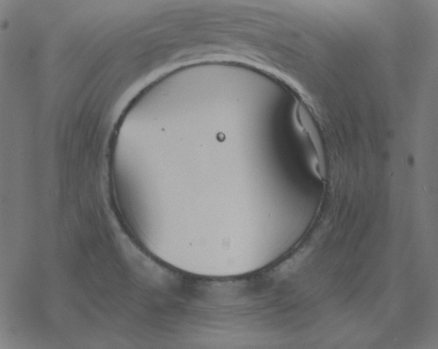 X0000077371518200611031858