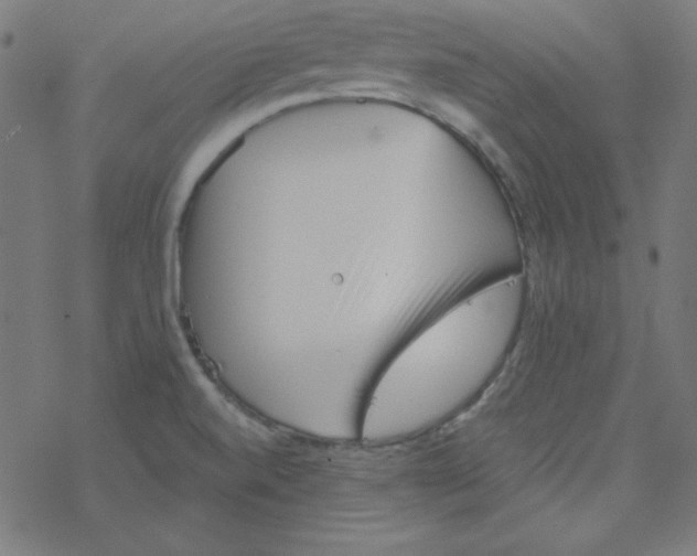 X0000077371520200611031858