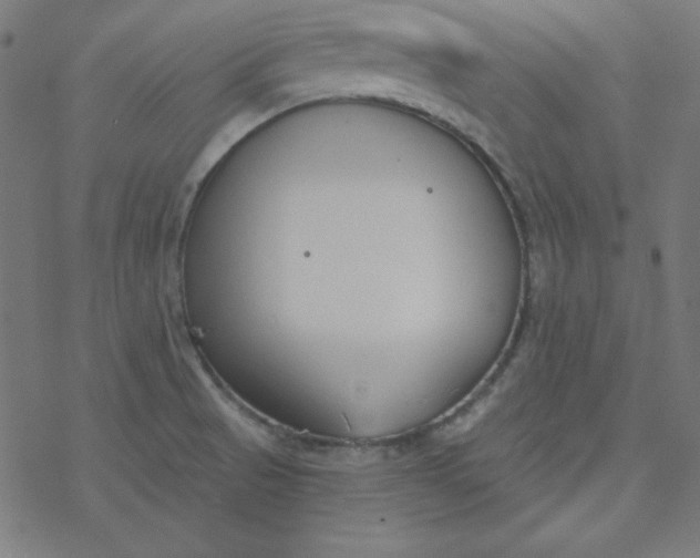 X0000077371521200611031858