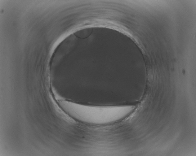 X0000077371522200611031858