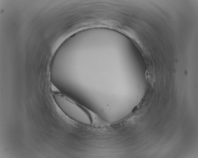 X0000077371524200611031858