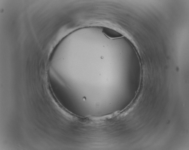 X0000077371525200611031858