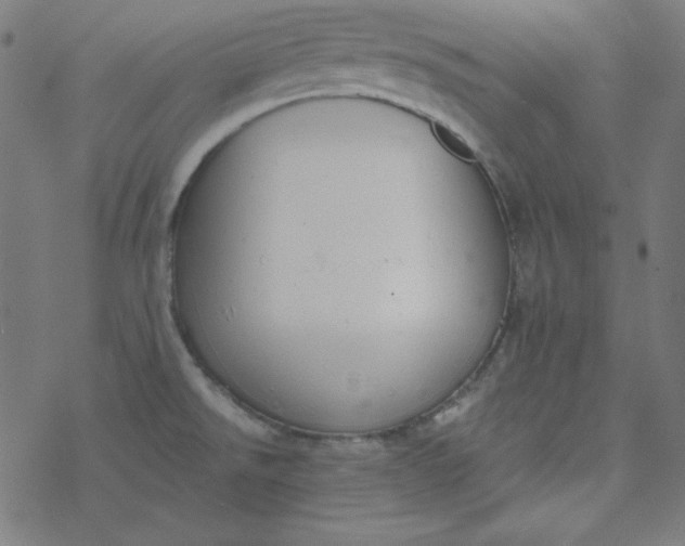 X0000077371526200611031858