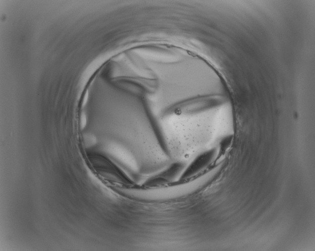 X0000077371527200611031858