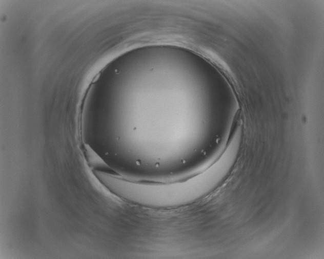 X0000077371528200611031858