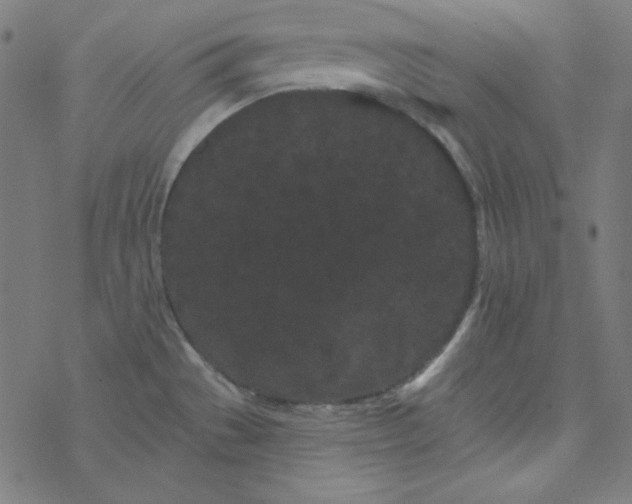 X0000077371529200611031858