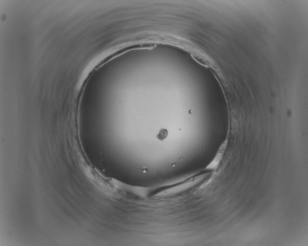 X0000077371530200611031858