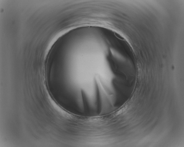 X0000077371531200611031858