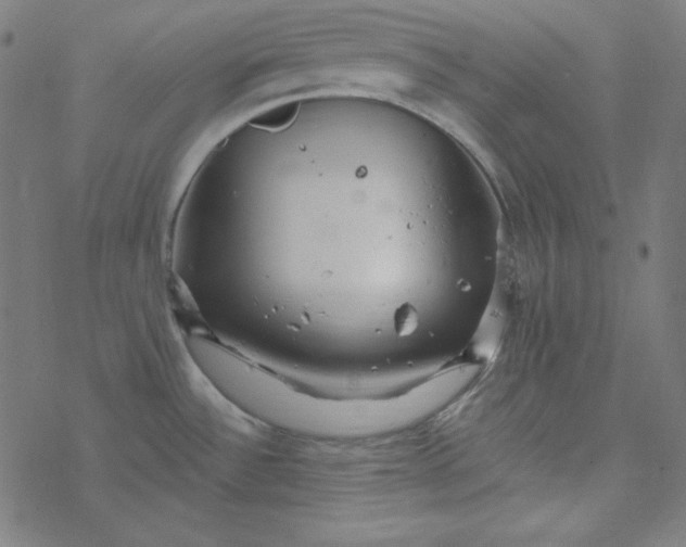 X0000077371532200611031858