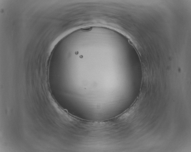 X0000077371534200611031858