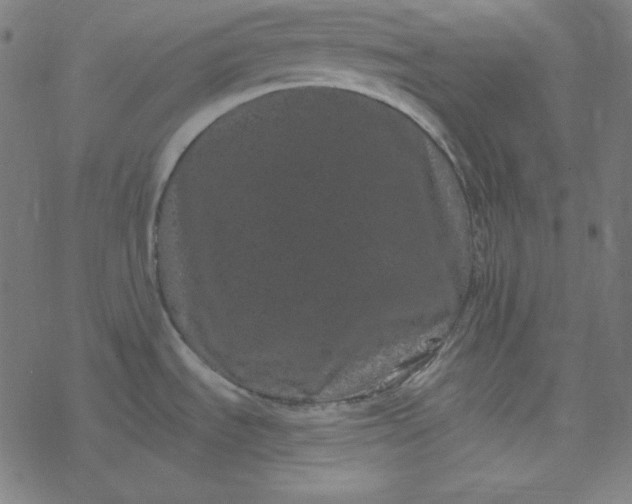 X0000077371535200611031858