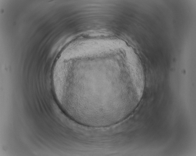 X0000077370002200611101716