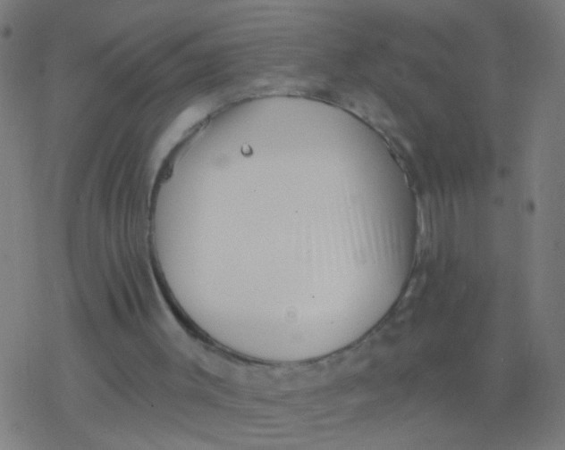 X0000077370003200611101716