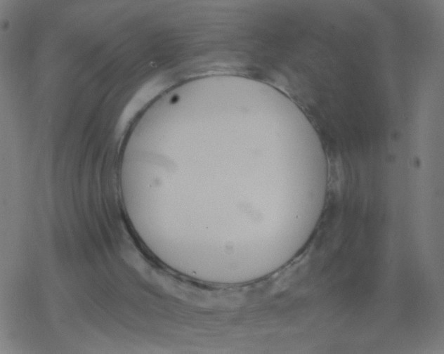 X0000077370004200611101716