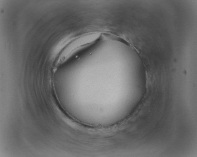 X0000077370005200611101716