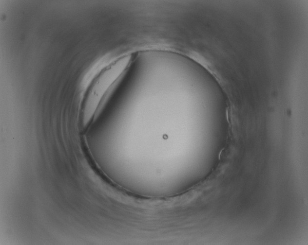 X0000077370007200611101716