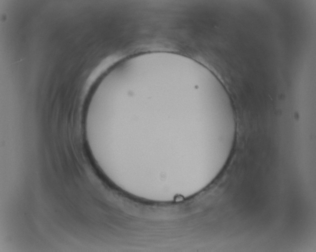 X0000077370008200611101716