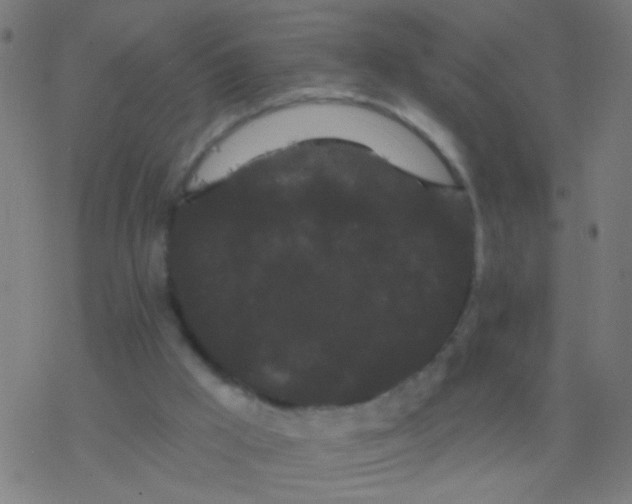 X0000077370009200611101716