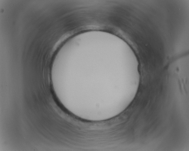 X0000077370011200611101716