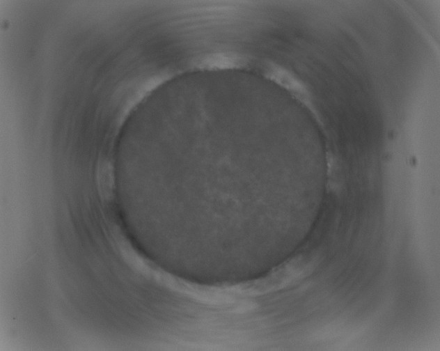 X0000077370012200611101716