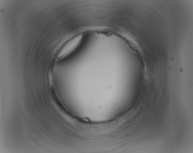 X0000077370013200611101716