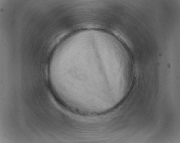 X0000077370014200611101716