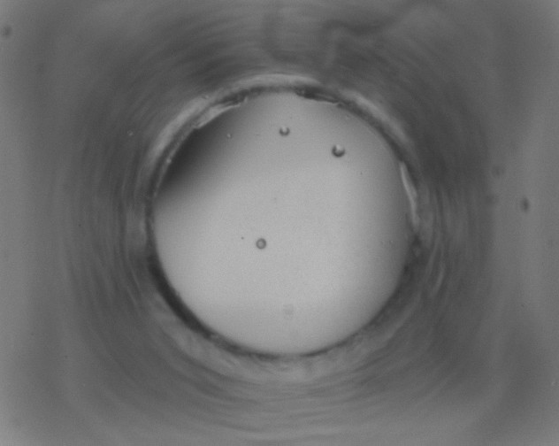 X0000077370015200611101716