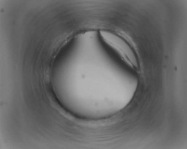 X0000077370017200611101716