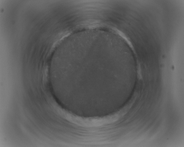 X0000077370018200611101715