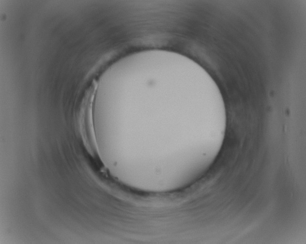 X0000077370020200611101715