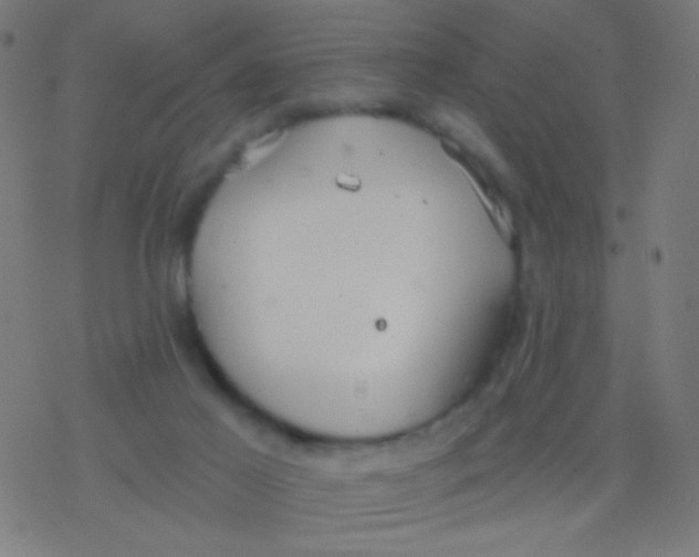 X0000077370021200611101715