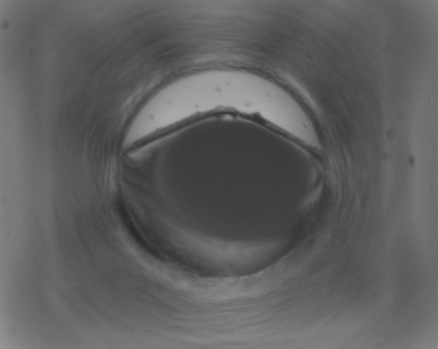 X0000077370023200611101715