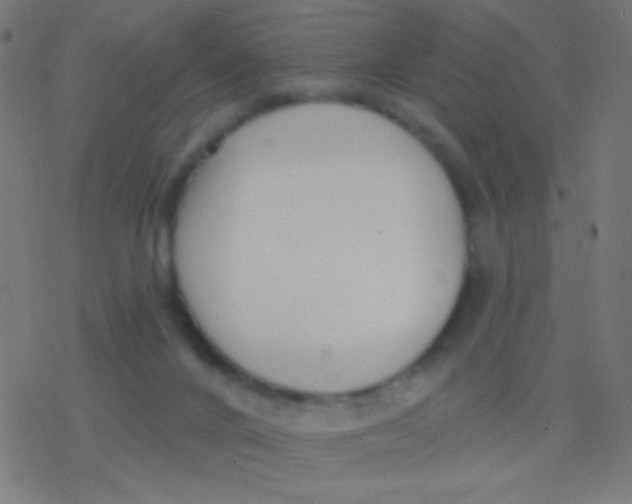 X0000077370024200611101715