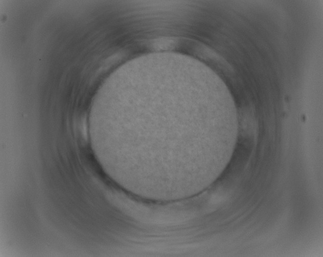 X0000077370028200611101715