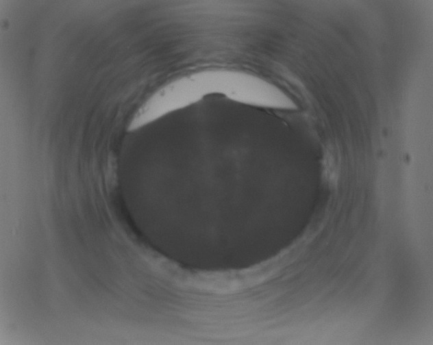 X0000077370029200611101715