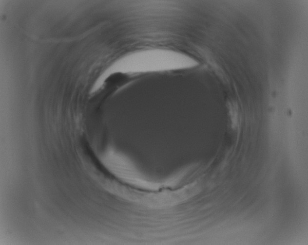 X0000077370031200611101715