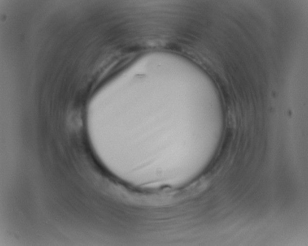 X0000077370032200611101715