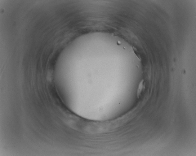 X0000077370033200611101715